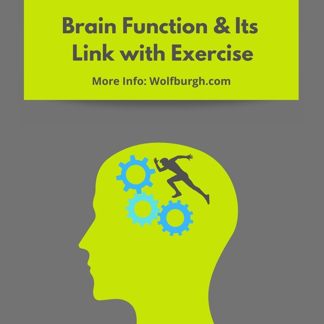 Brain Function and Its Link with Exercise